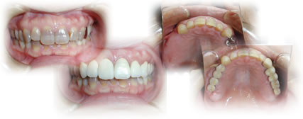 ���ǎ��Ȃ̎��×�