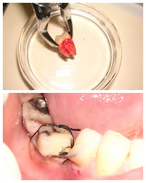 ���Ǝ���ڐA