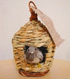nest＝居心地のよい住まい・鳥の巣