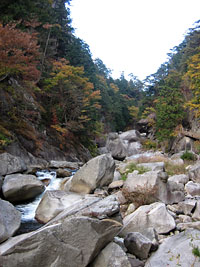 syosenkyo_1.jpg