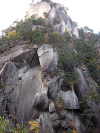 syosenkyo_2.jpg