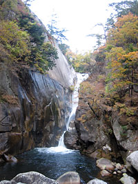 syosenkyo_3.jpg