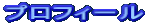�v���t�B�[��