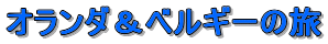 I_xM[̗
