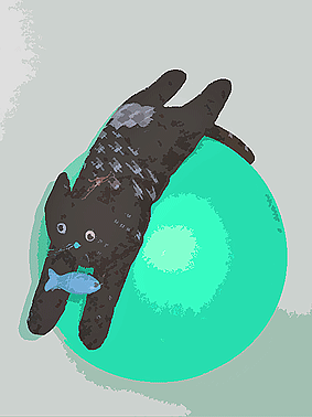 ねこ2