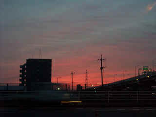 wpe1F.jpg (5334 oCg)