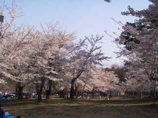 wpeA1.jpg (13575 oCg)