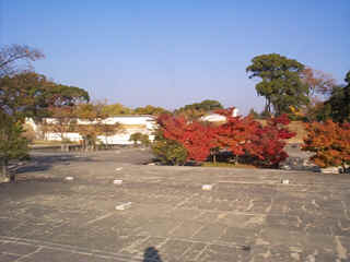 wpe2C.jpg (9951 oCg)