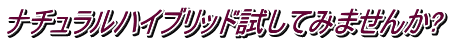 i`nCubhĂ݂܂?