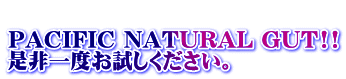  PACIFIC NATURAL GUT!! �����x���������������B