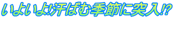 ���悢��!���΂ދG�߂ɓ˓�!? 