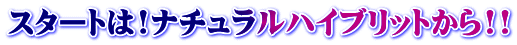 スタートは!ナチュラルハイブリットから!!
