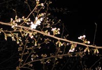 �܂āA�܂������I�I